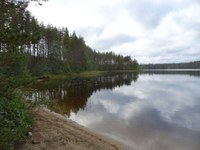Forest retention across borders: ConFoBi visits Finland